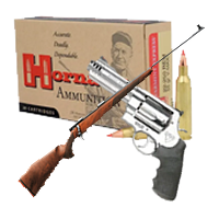 Firearms